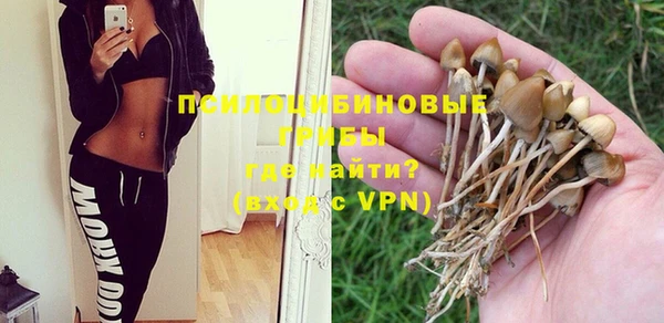 гидропоника Абаза