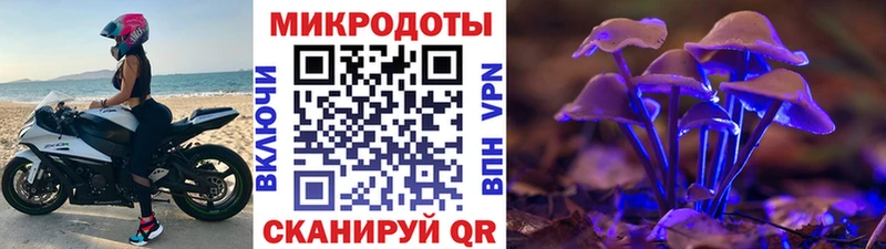 omg ссылки  Аксай  Псилоцибиновые грибы мицелий 